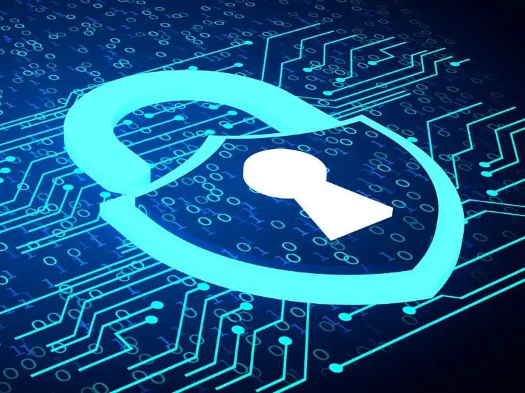 5 passos para garantir a proteção de seus dados